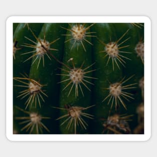 Red cactus Sticker